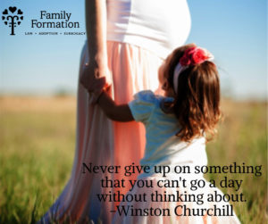 gestational vs traditional surrogacy image